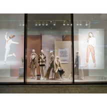 Película de retroproyección ligeramente esmerilada