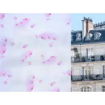 Lámina esmerilada reposicionable con impresión de orquídeas