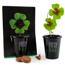 Ecovi - Trèfle À 4 Feuilles Pot Black - Jardin & Bricolage