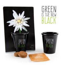 Ecovi - Edelweiss Pot Black - Jardin & Bricolage