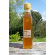 Esprit Safran & Cie - Sirop De Gingembre Et Safran Ab 250 Ml - Boissons
