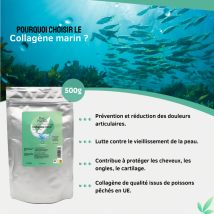 Elitea Care - Hibiscus Bio Séchées 50g Qualité Premium Biodégradable. Vrac - Tisanes & infusions