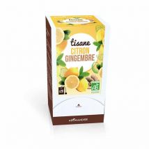 Aromandise - Tisane Gingembre Citron X 20 Aromandise - Thés