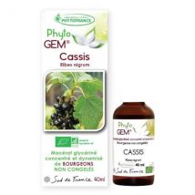 Bio Et Santé - Cassis Bio Phyto'gem De Bourgeons - 40ml - Articulations