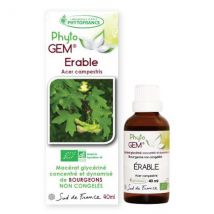 Bio Et Santé - Erable Champêtre Phyto'gem - 40ml - Forme & vitalité
