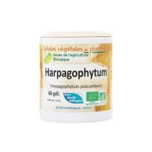 Bio Et Santé - Harpagophytum Bio - 250 Gélules - Articulations