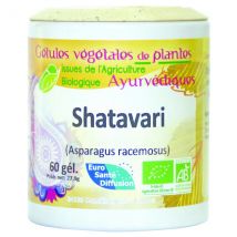 Bio Et Santé - Shatavari (asperge Indienne) Plantes Ayurvédiques - 250 Gélules - Ménopause & cycle féminin