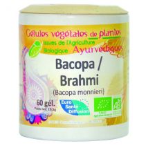 Bio Et Santé - Bacopa / Brahmi (hysope D'Eau) Gélules Ayurvédiques - 250 Gélules - Mémoire - intellect
