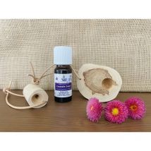 Eco-conseils - Diffuseur Toilette (orange) - Assainissants & parfums d'intérieur