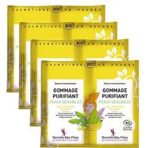 Lot de 4 Gommages Purifiants visage bio