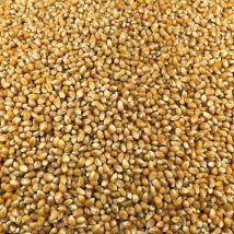 Le Comptoir De Timothée - Maïs Pop Corn Bio En Vrac 5kg - Céréales & semoule