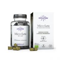 Pleine Forme - Mico-Léo Héricium Bio-70 gélules-Hifas da Terra - Complément alimentaire - Antioxydants