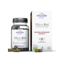 Pleine Forme - Mico-Rei Reishi Bio-70 gélules-Hifas da Terra - Complément alimentaire - Antioxydants