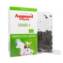Aagaard Propolis - Propolis Brûte à Mâcher Grande A- 20g - Aagaard Propolis - Complément alimentaire - Allergies