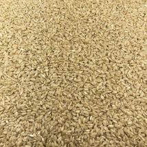 Le Comptoir De Timothée - Riz Rond Complet Bio En Vrac 25kg - Riz & Purées