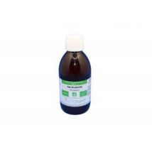 Nature Et Beauté - Aiguilles Pin Sylvestre label bio AB 250 ml Teinture mère bio - Complément alimentaire - Antioxydants