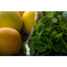 Les Verts Moutons - Perles De Céramique Spécial Aliments (15 Pièces) - Divers art de la table
