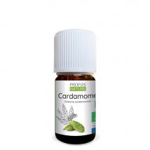 Propos'nature - Cardamome Bio (ab) - Huile Essentielle - 5 Ml Contenance - 5 Ml - Digestion & intestins