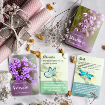 Conseil Fleur De Bach - Carte De Fleurs De Bach - 38 Cartes Illustrées - Jeux