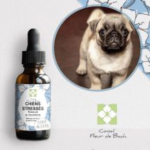 Conseil Fleur De Bach - Fleurs De Bach Chiens Stressés Sans Alcool - 30ml - Lot De 2 - Elixirs floraux & Fleurs de Bach