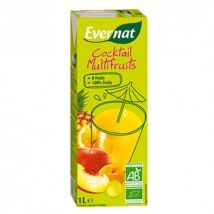 Evernat - Cocktail Multifruits Bio - Jus de fruits