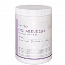 Laboratoire Lorica - Collagène 2SH - pot de 315g - Entretien de la peau et des tissus - Complément alimentaire - Articulations