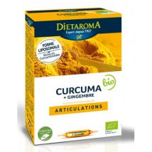 Dietaroma - Curcuma Gingembre - Autres super aliments