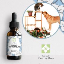 Conseil Fleur De Bach - Fleurs De Bach Animaux Destructeur Sans Alcool - 30ml - Lot De 2 - Elixirs floraux & Fleurs de Bach