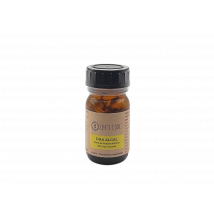 Life’s Code - OMÉGA 3 - DHA 100% ALGAL 250 mg - Acide gras essentiel - 30 - Complément alimentaire - Ménopause & cycle féminin