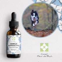 Conseil Fleur De Bach - Fleurs De Bach Animaux Hyperactifs Sans Alcool - 30ml - Lot De 2 - Elixirs floraux & Fleurs de Bach