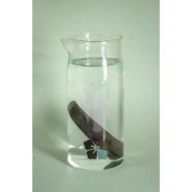 Kyuke - Karafe 1l - Carafe Filtrante Avec Charbon Actif - Boissons