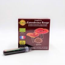 Consomacteurs Associés - Complexe Ganoderma Lucidum Reishi Rouge - Complément alimentaire - Antioxydants