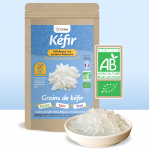 Orisæ - Grains De Kéfir Frais Bio - Bières & artisanales