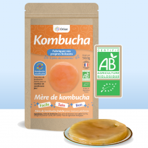 Orisæ - Mère De Kombucha Fraîche Bio - Bières & artisanales