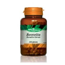 Nat & Form - Nat & Form Boswellia - Articulations