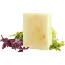 Savon aux algues pour peaux matures