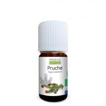 Propos'nature - Pruche Bio - Huile Essentielle - 5 Ml Contenance - 5 Ml (bio) - Anti-stress