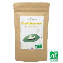 Terre Et Symbiose - Tégument Psyllium Bio - 120 gélules de 500mg Biologique - - Complément alimentaire - Digestion