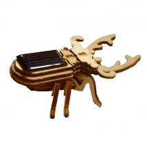 La Boutique Solaire - Kit Scarabée Solaire En Bois - Maquettes
