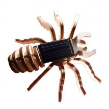 La Boutique Solaire - Kit Araignée Solaire En Bois - Maquettes