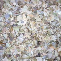 Rekinke - Feuilles De Ravintsara Au Poids Par 10g Rekinke Bio - Thés