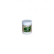 Laboratoires Sfb - Jus D'Herbe De Blé Bio En Poudre - 200g