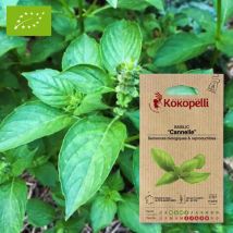 Association Kokopelli - Sachet De Graines Bio À Semer -basilic Cannelle