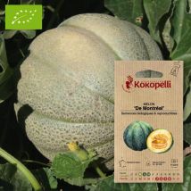 Association Kokopelli - Sachet De Graines Bio À Semer -melon De Montréal - Graines et semences