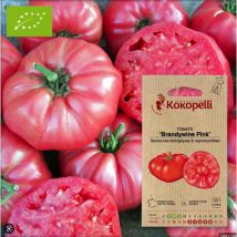 Association Kokopelli - Sachet De Graines Bio À Semer -tomate Brandywine Pink - Graines et semences