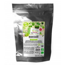 Biodyssée - Thé Vert Matcha Poudre Cuisine Bio Vrac - 500g - Thés