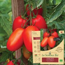 La Semence Bio - Semence - Tomate Prince Borghese Bio - Graines et semences