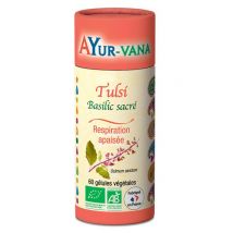 Ayur-vana - Tulsi Bio (basilic Sacré)