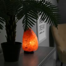 Zen'light - Lampe En Cristal De Sel D'Himalaya 2 À 3 Kg Avec Support Bois