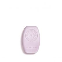 Gentle & Balance Solid Shampoo - 60 g - L'Occitane en Provence